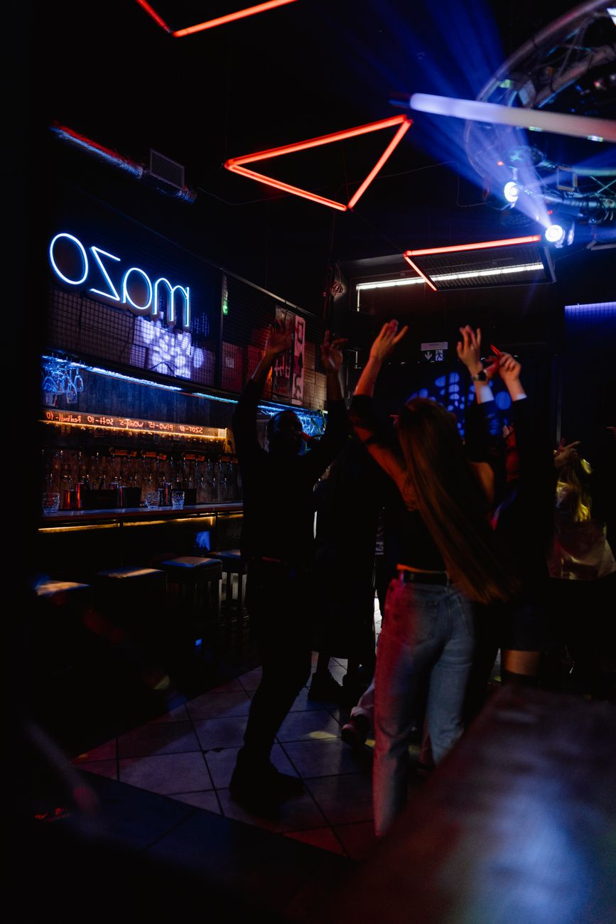 partying people in the nightclub