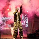 Nora En Pure's Purified Brand: Label Valuation and Global Showcase Revenue
